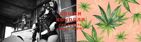 ECSTASY Покачи