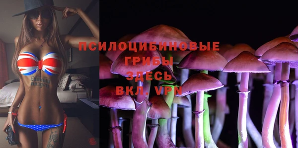 бошки Покров