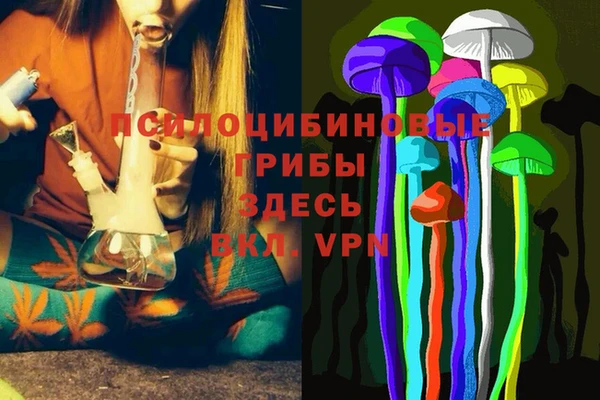 ECSTASY Покачи